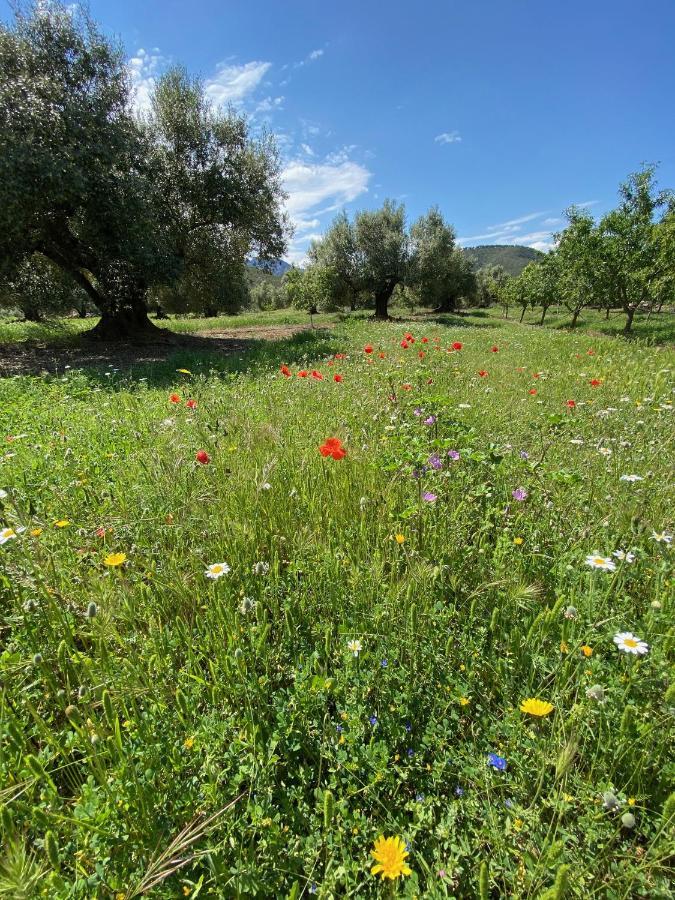 Wonderful Comfortable Finca In The Burga Valley Rasquera Экстерьер фото